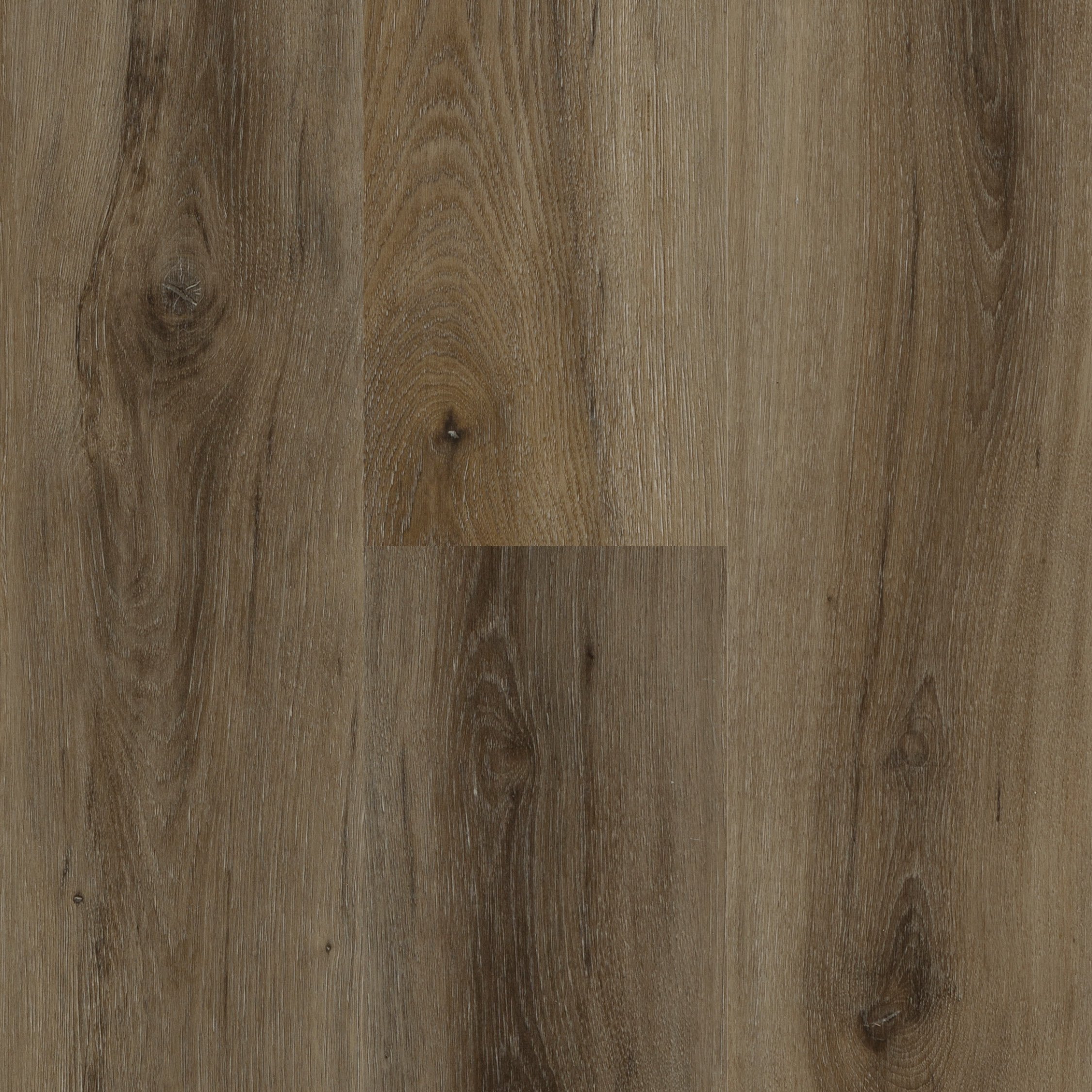 Wildwood — Next Floor®
